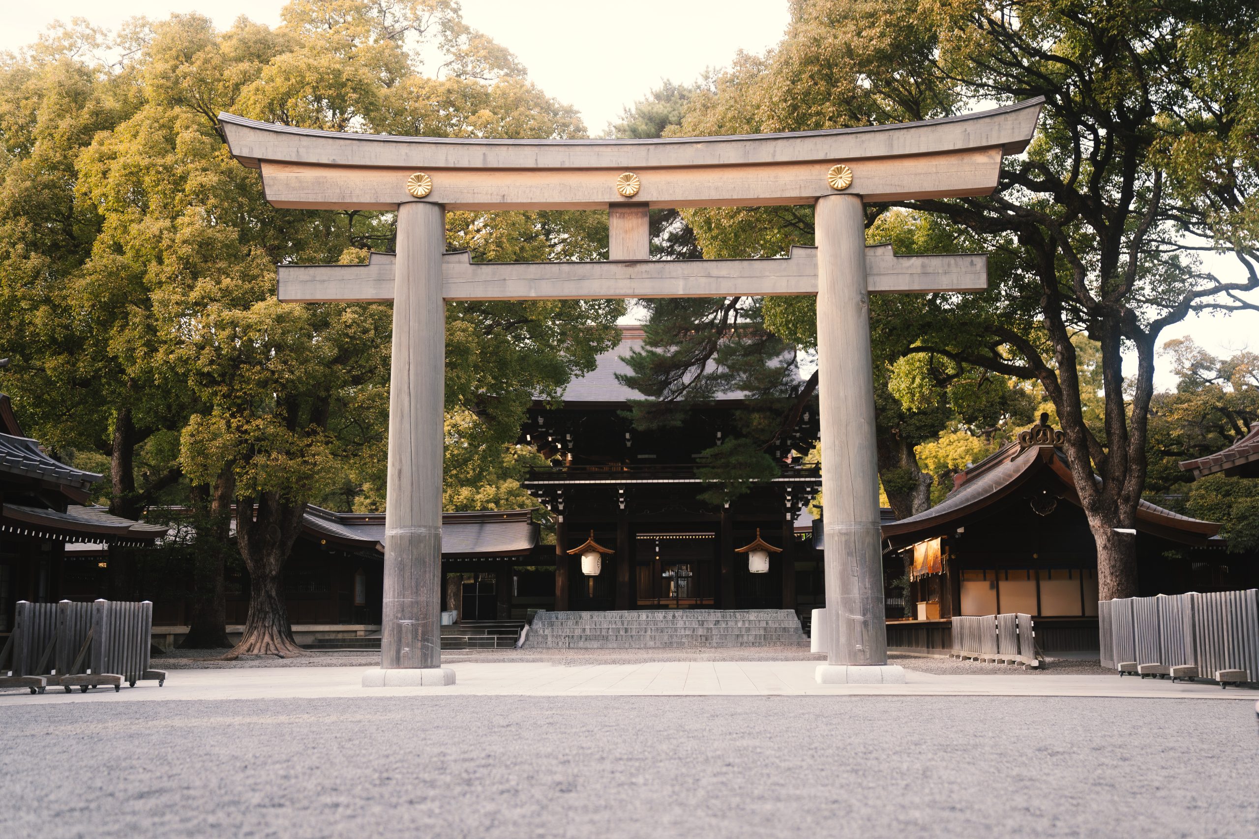 Meine erste Reise nach Japan – Ein Traum wird Wirklichkeit